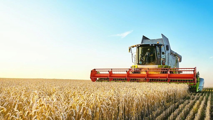 Россия в марте втрое нарастила поставки пшеницы в Грузию