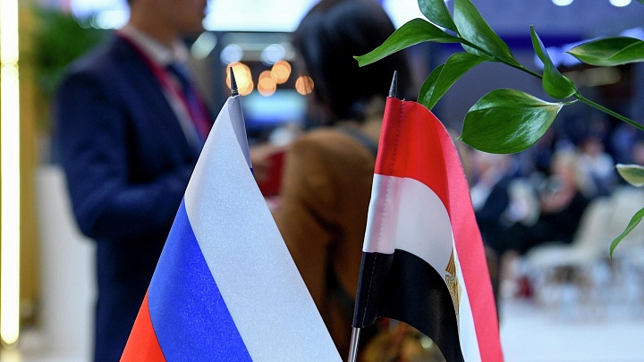 Эксперт назвала открытие Россией "Атомной школы" в Египте прорывом