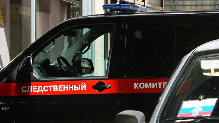 Женщину, напавшую на ребёнка в Красноярске, поместили под домашний арест